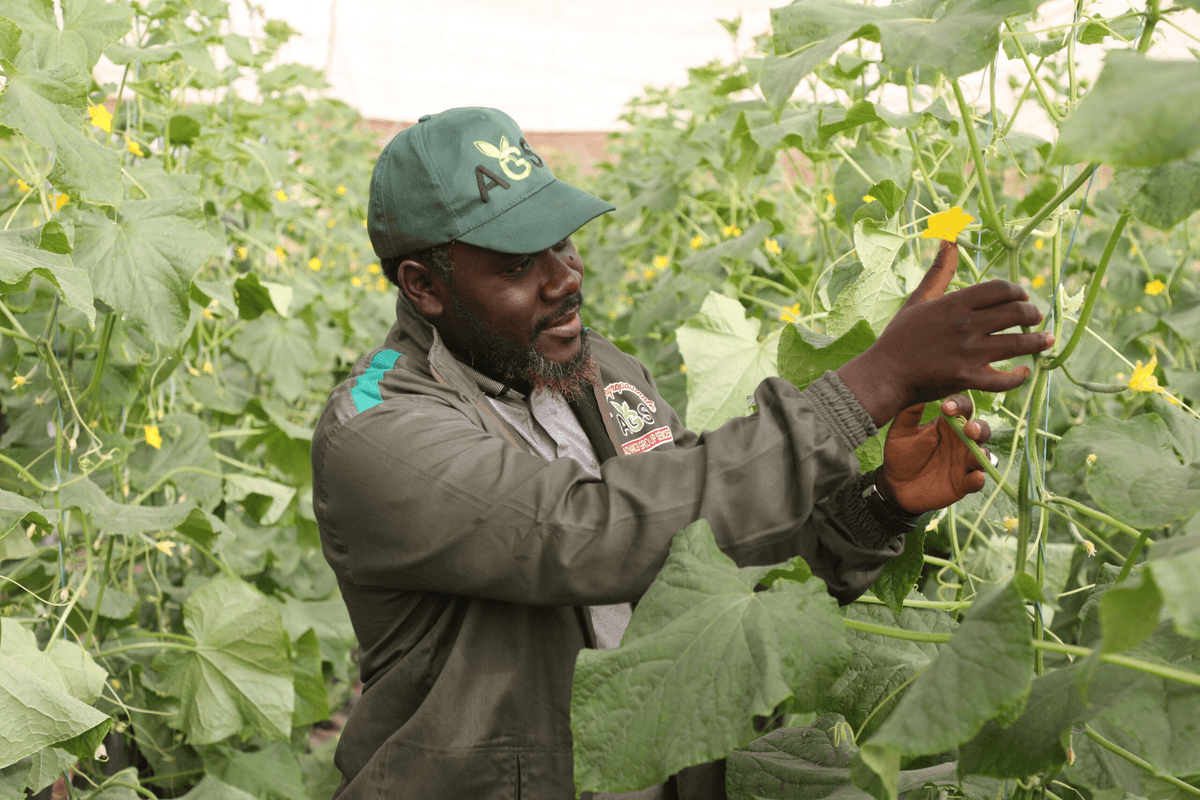 Formation pratique terrain
